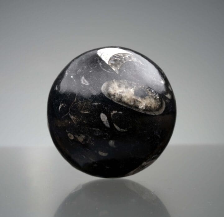 Belemnite Sphere