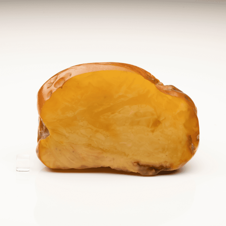 Butterscotch Amber // 322 Grams - Image 5