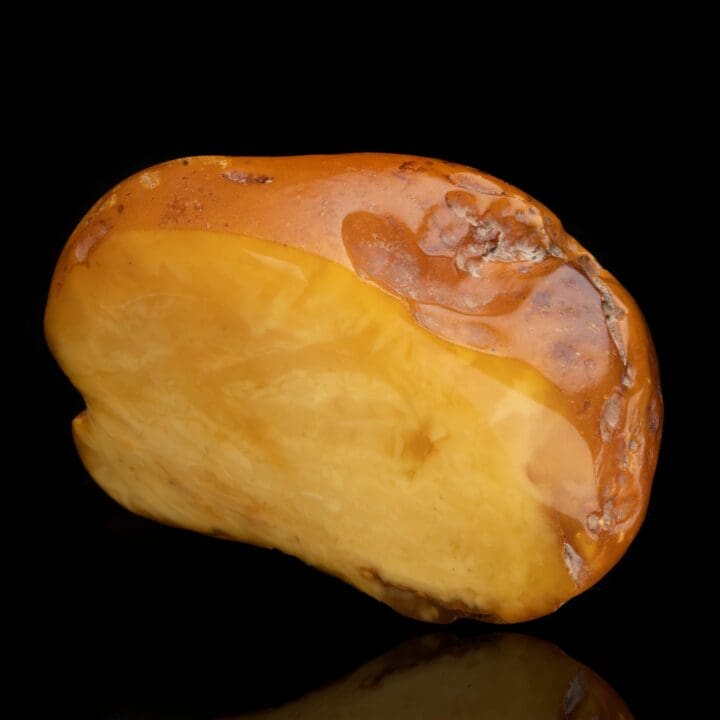 Butterscotch Amber // 322 Grams - Image 2
