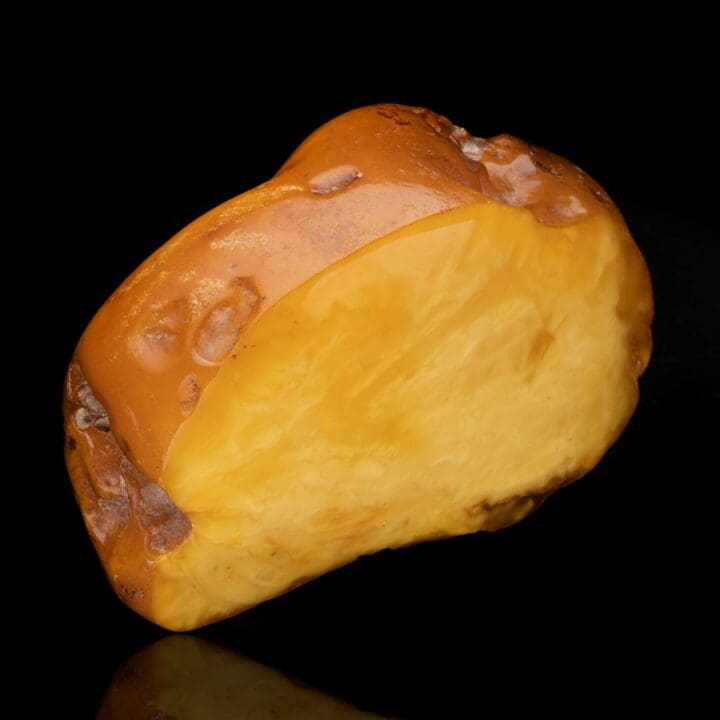 Butterscotch Amber // 322 Grams - Image 3