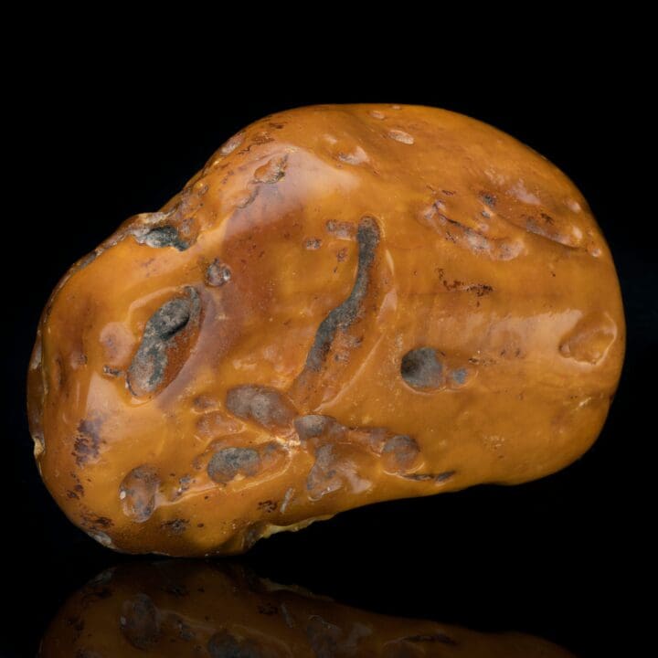 Butterscotch Amber // 322 Grams - Image 4