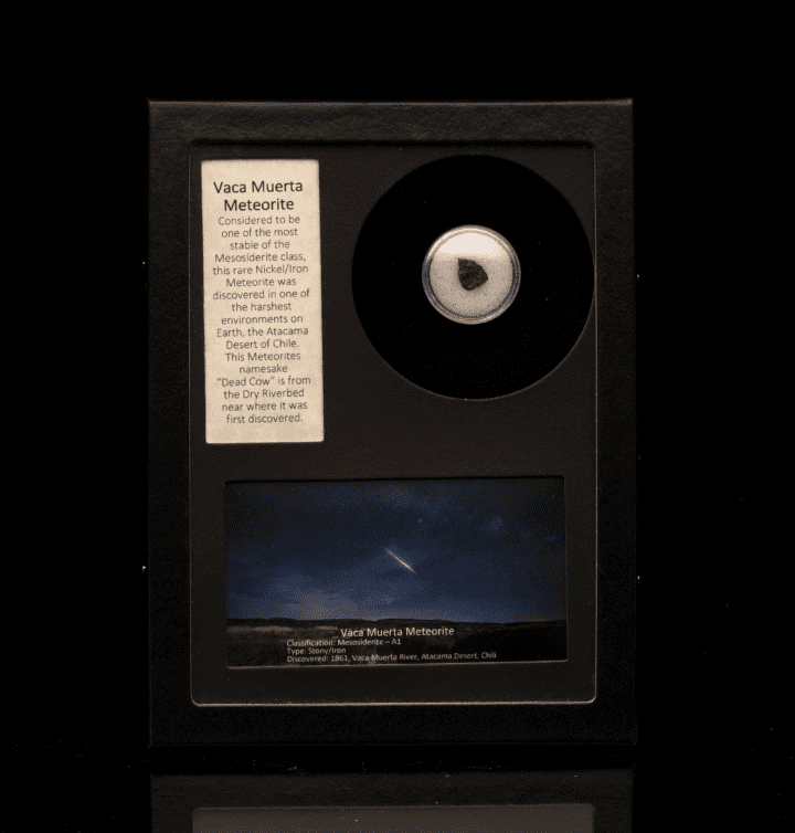Vaca Muerta Meteorite in Collector's Box - Image 5