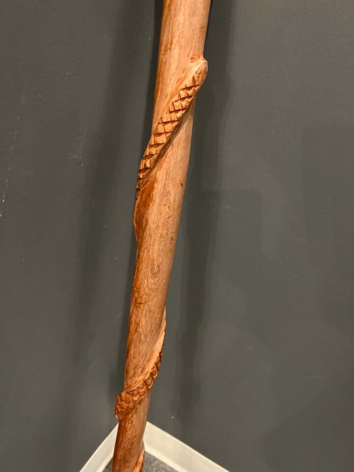 Carved Walking Stick - Image 4