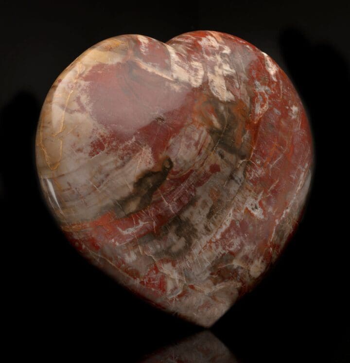 Petrified Wood Heart // 9 Lb. - Image 2