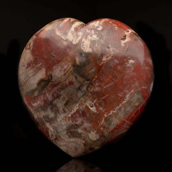 Petrified Wood Heart // 9 Lb. - Image 3