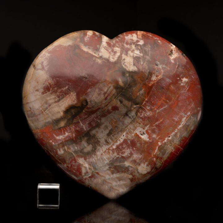 Petrified Wood Heart // 9 Lb. - Image 4
