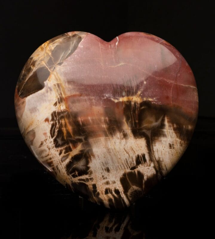 Petrified Wood Heart // 2.93 Lb.