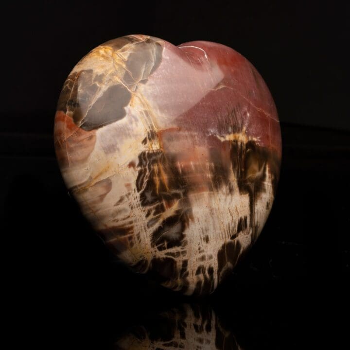 Petrified Wood Heart // 2.93 Lb. - Image 3