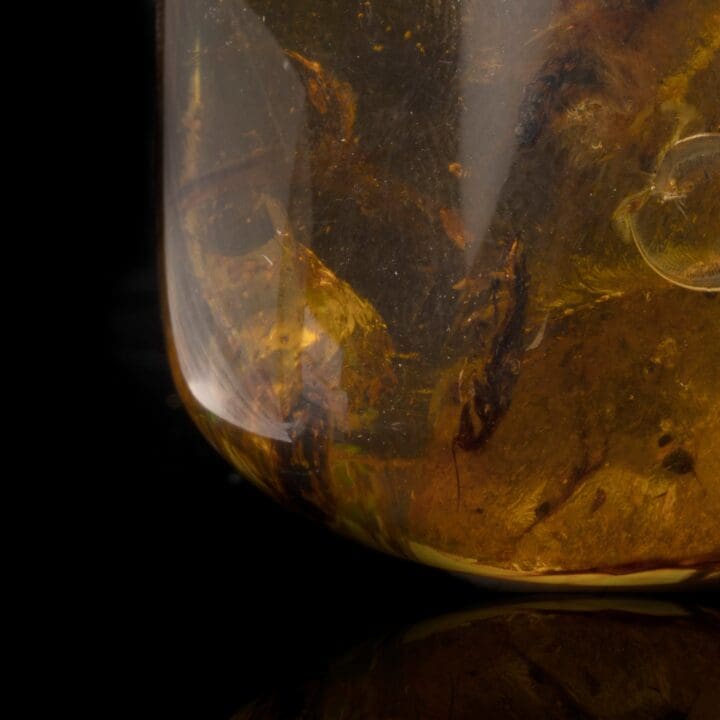 Burmese Amber Medley // 25.54 Grams - Image 3