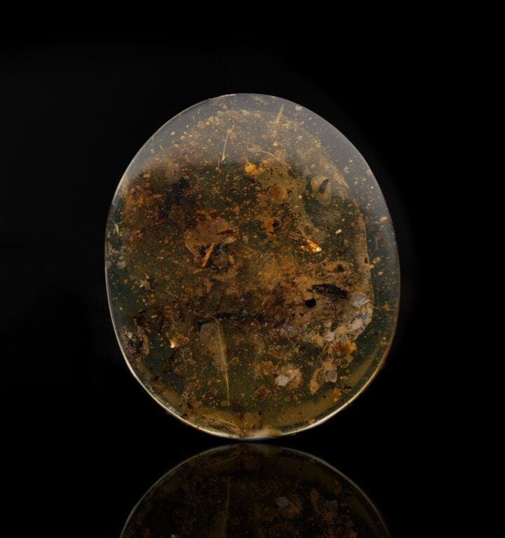 Burmese Amber With Snail Shell // 7.61 Grams