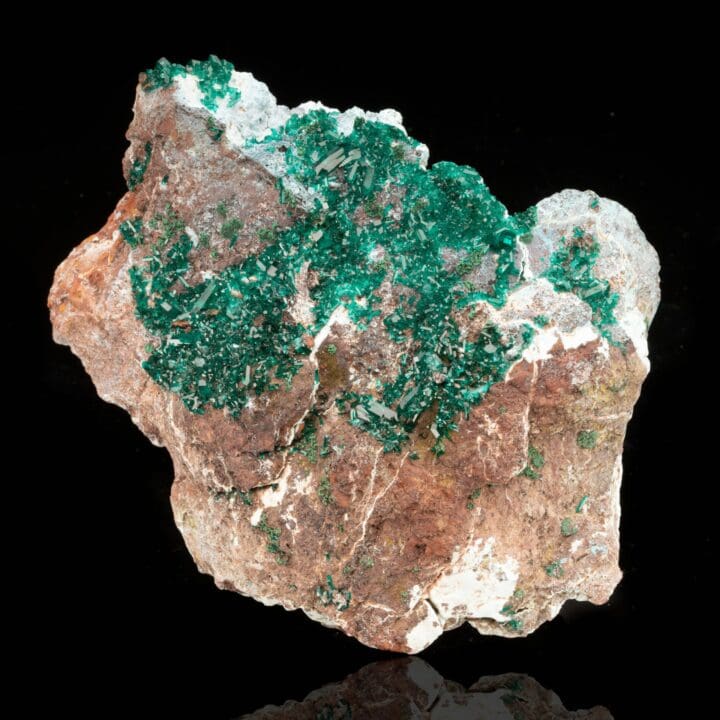 Dioptase // 1.26 Lb. - Image 3