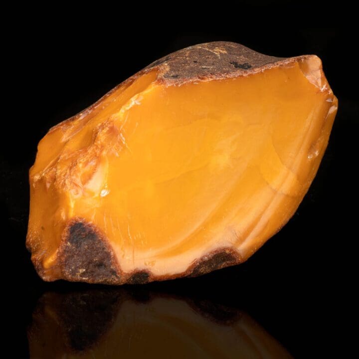 Butterscotch Amber // 385 Grams - Image 2