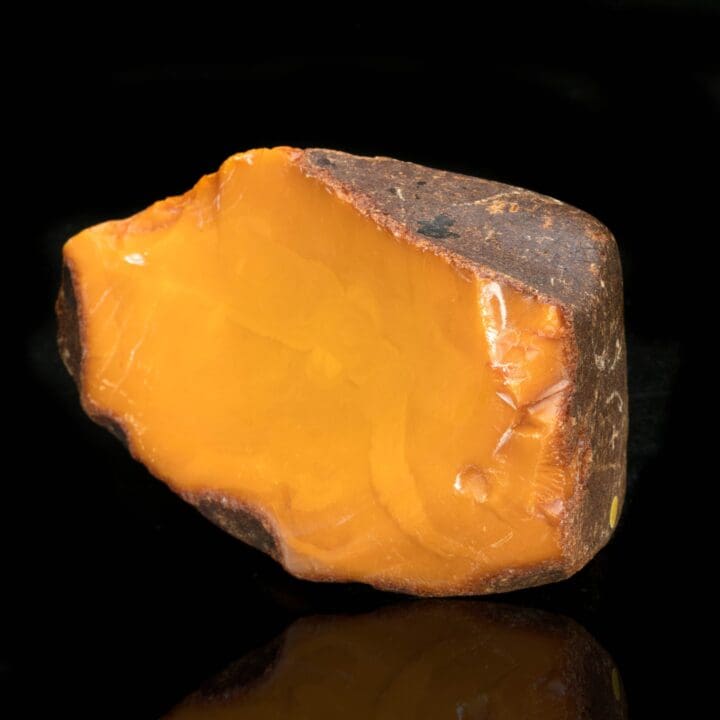 Butterscotch Amber // 385 Grams - Image 3