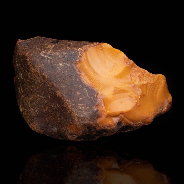Butterscotch Amber // 385 Grams - Image 4