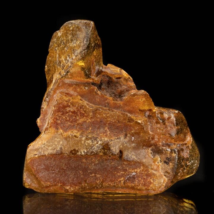 Copal // 401 Grams - Image 4