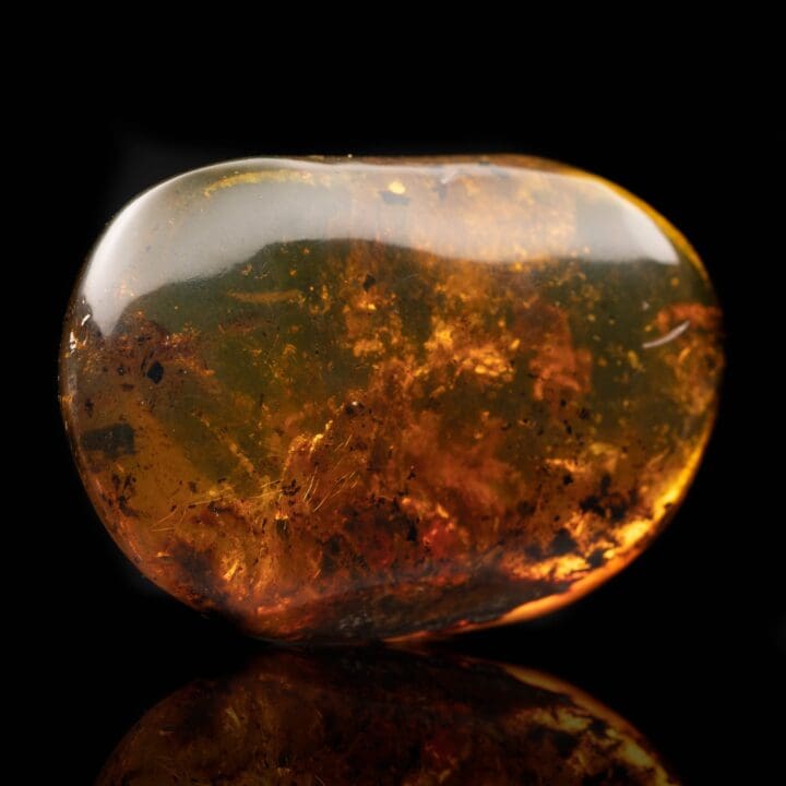 Baltic Amber With Plant Matter // 26.15 Grams - Image 2