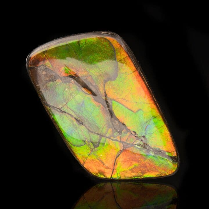 Ammolite Cabochon // 11.88 Grams