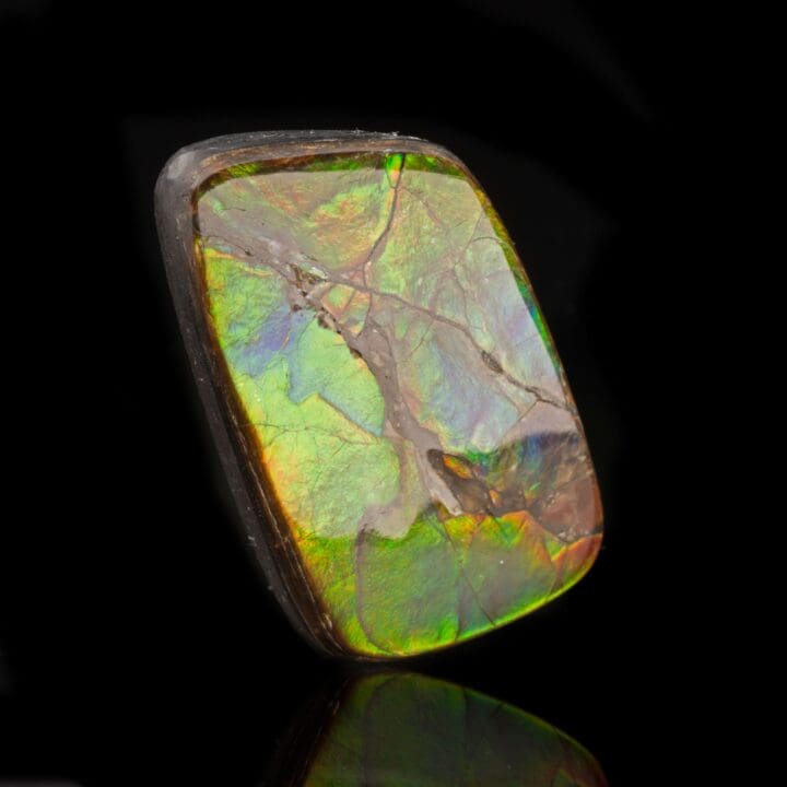 Ammolite Cabochon // 11.88 Grams - Image 2