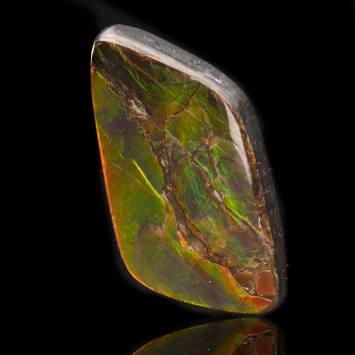Ammolite Cabochon // 11.88 Grams - Image 3