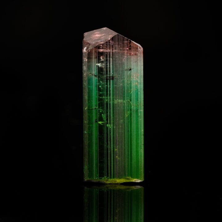 Watermelon Tourmaline // 19.48 Grams - Image 2