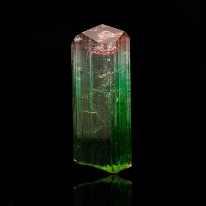 Watermelon Tourmaline // 19.48 Grams - Image 3