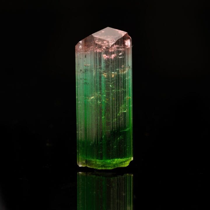 Watermelon Tourmaline // 19.48 Grams - Image 4
