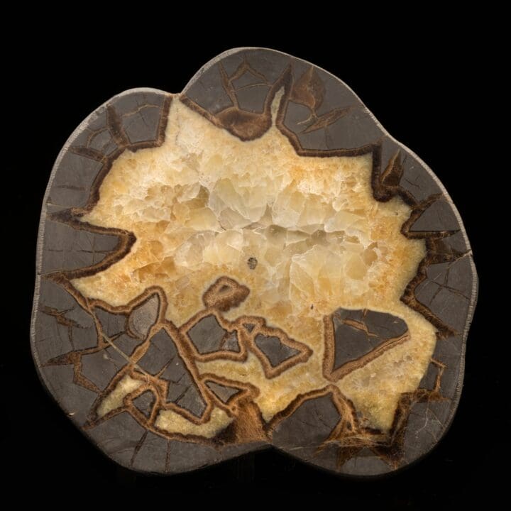Septarian Stone Slice // 2 Lb.