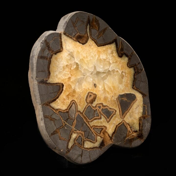 Septarian Stone Slice // 2 Lb. - Image 2