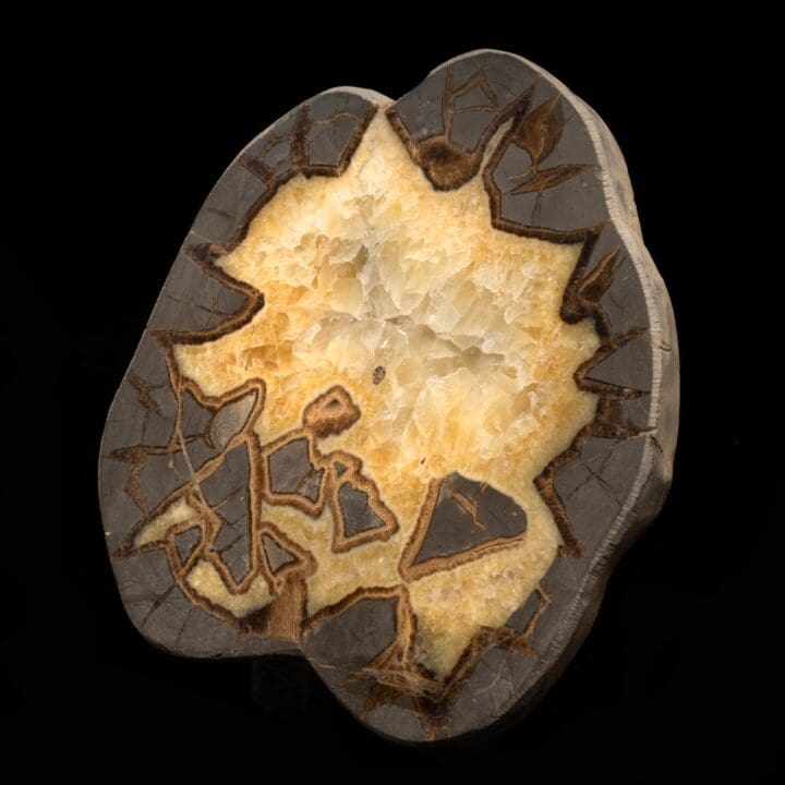 Septarian Stone Slice // 2 Lb. - Image 3