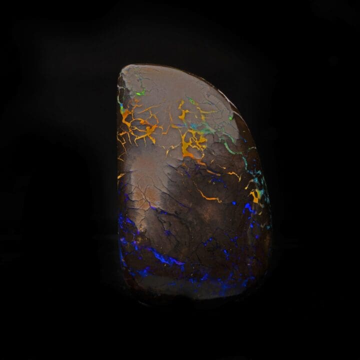 Koroit Nut Boulder Opal // 217.5 Carats