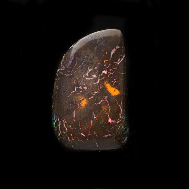 Koroit Nut Boulder Opal // 217.5 Carats - Image 4