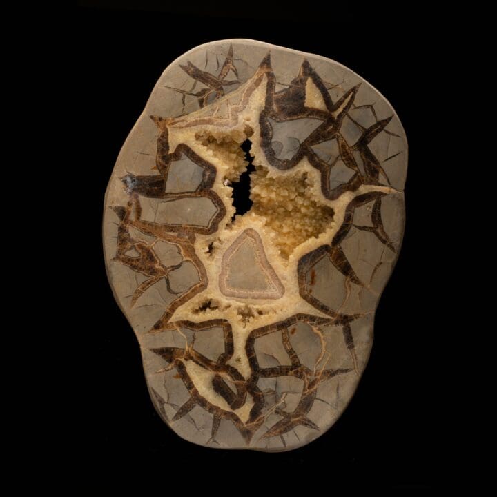 Septarian Stone Slice // 1.58 Lb.