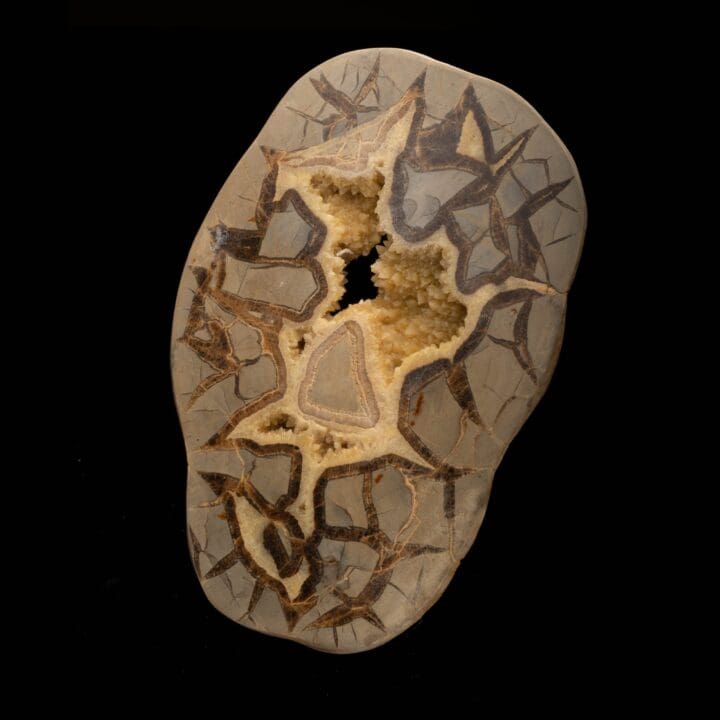 Septarian Stone Slice // 1.58 Lb. - Image 2