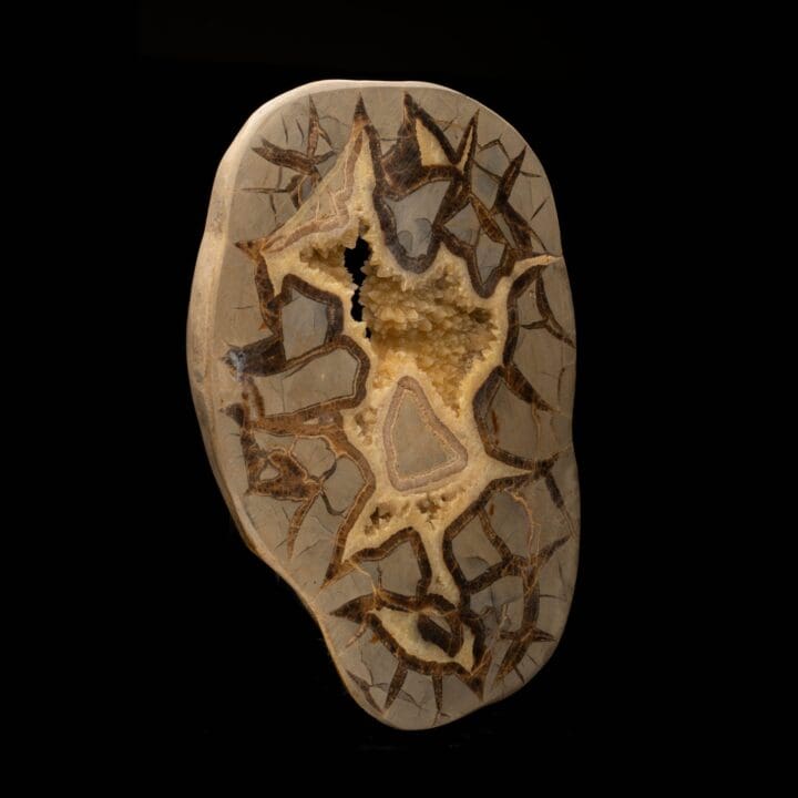 Septarian Stone Slice // 1.58 Lb. - Image 3