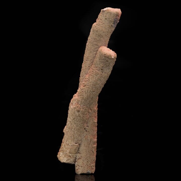 Rhodochrosite Stalactites From Argentina // 7-7/8" Long - Image 5
