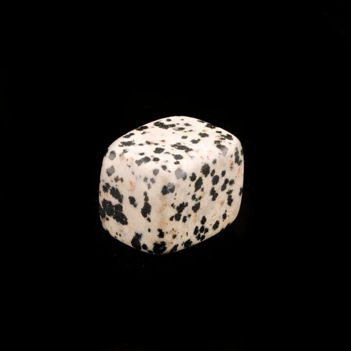 Tumbled Dalmatian Agate - Image 2