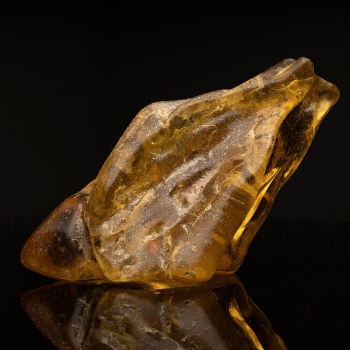 Dominican Amber