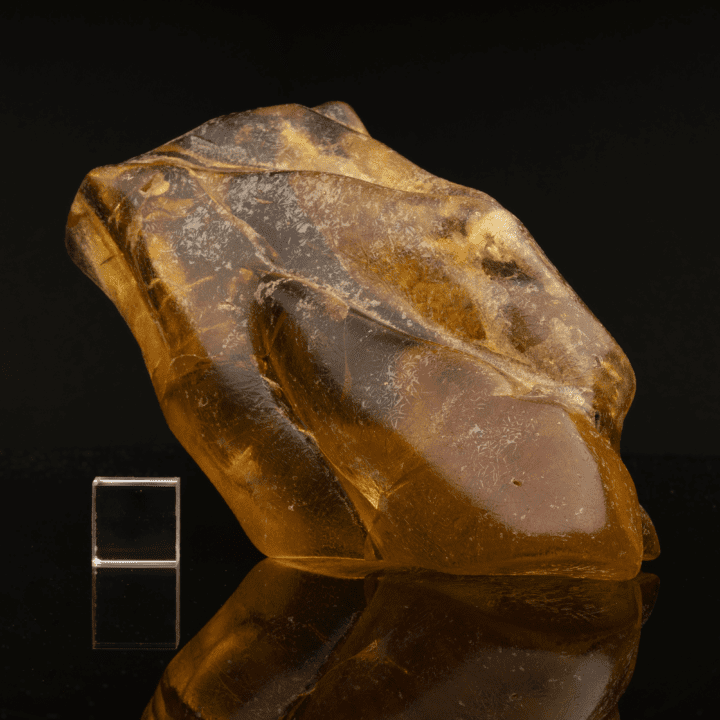 Dominican Amber - Image 5