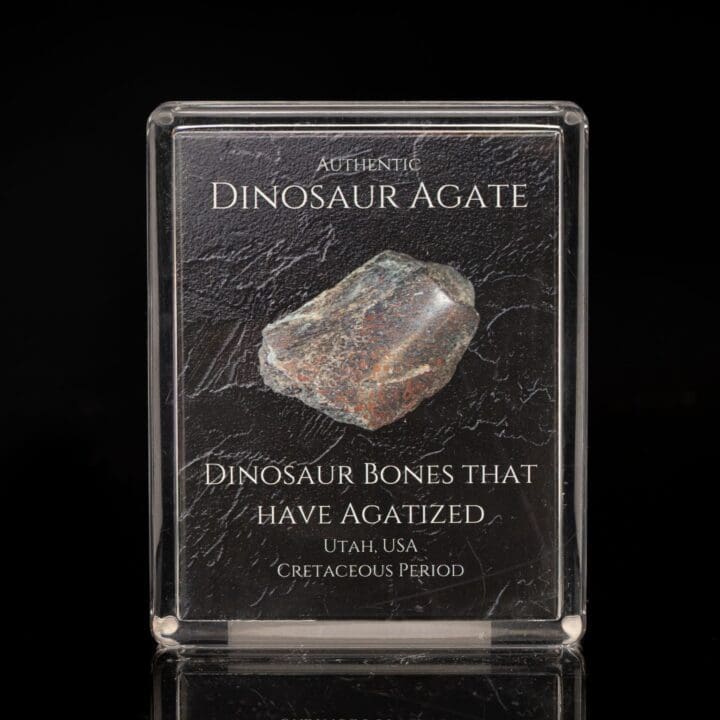 Dinosaur Agate Fossil Box - Image 2