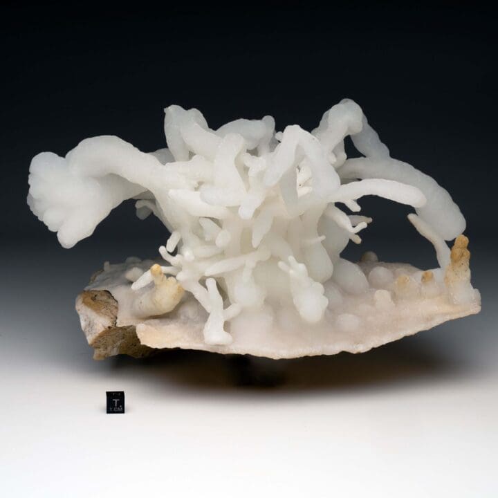 Calcite Stalactite - Image 10
