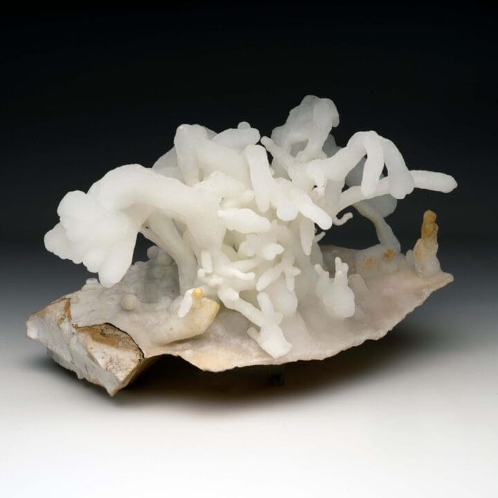 Calcite Stalactite - Image 4
