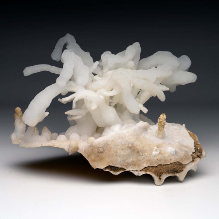 Calcite Stalactite - Image 5