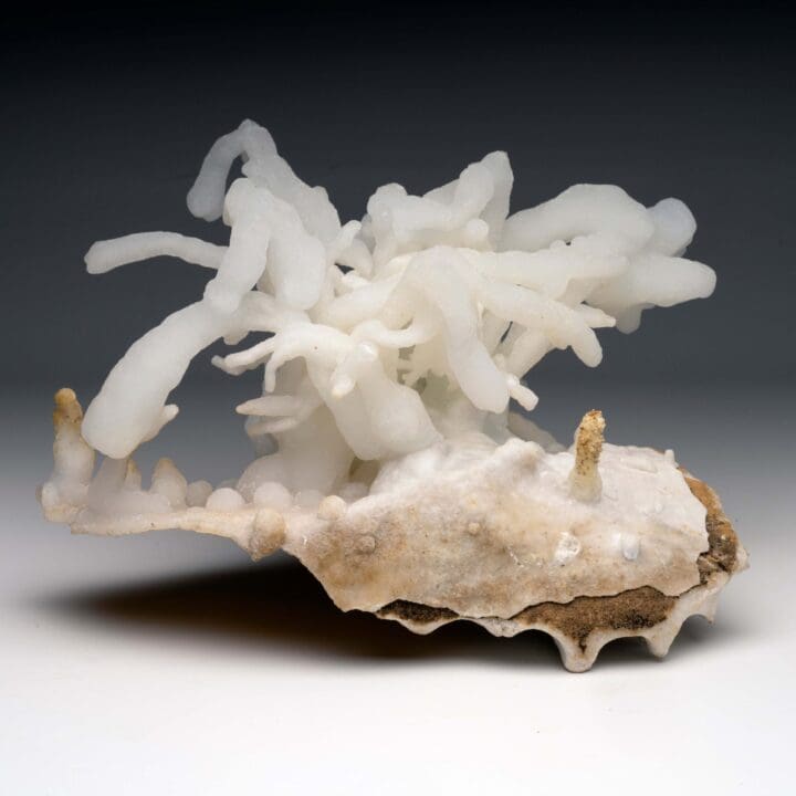 Calcite Stalactite - Image 6