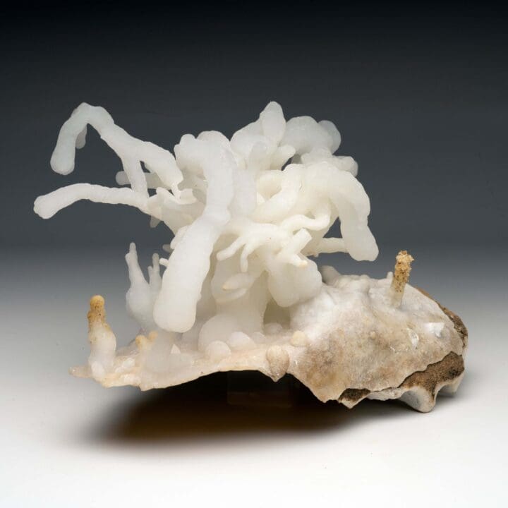 Calcite Stalactite - Image 7