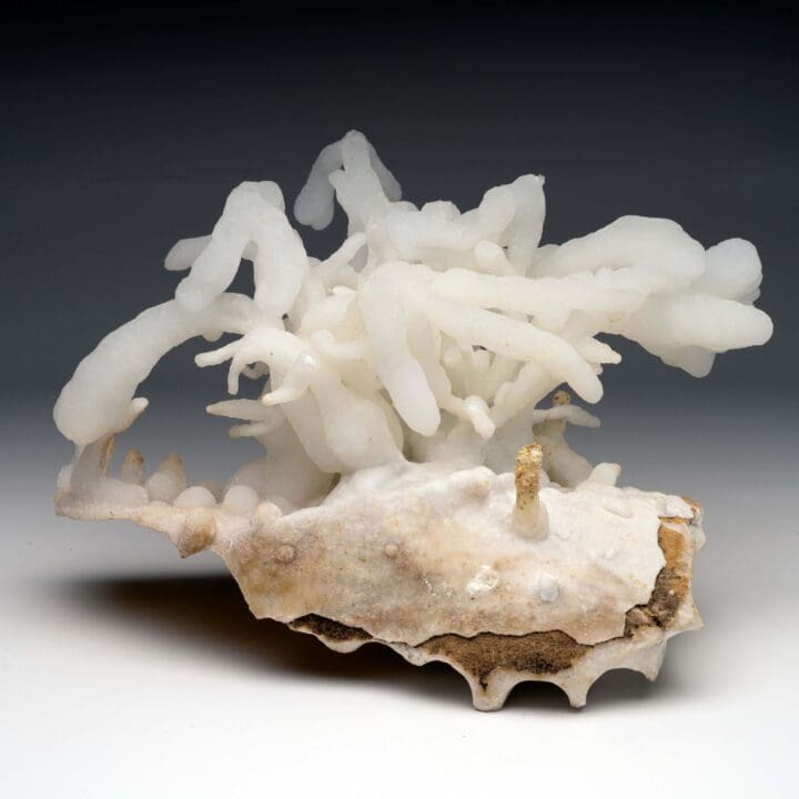 Calcite Stalactite - Image 9