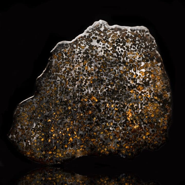 Brahin Pallasite Meteorite Slice // 12-3/4" Wide