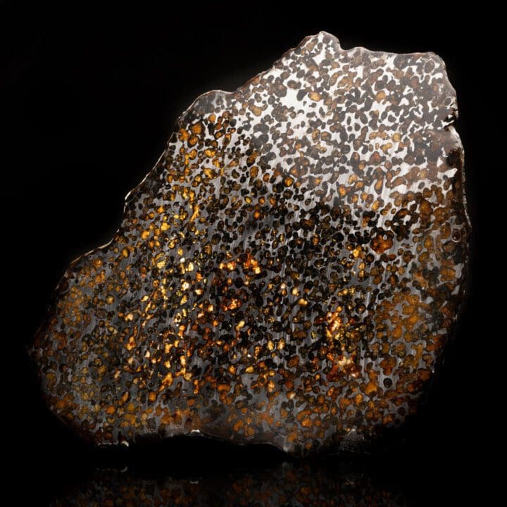 Brahin Pallasite Meteorite Slice // 12-3/4" Wide - Image 3