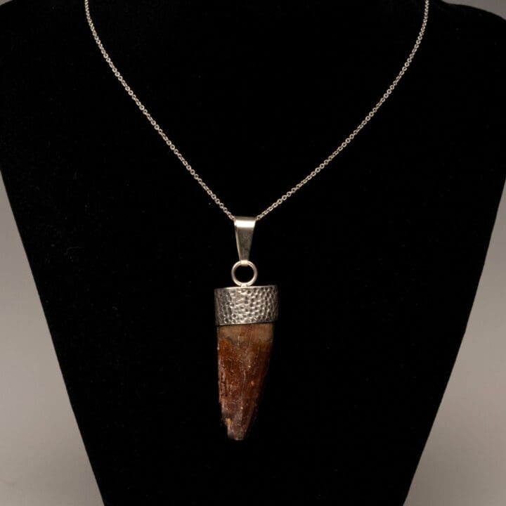 African T. Rex Tooth Pendant