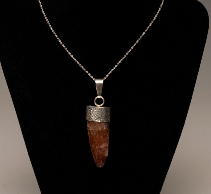 African T. Rex Tooth Pendant - Image 2