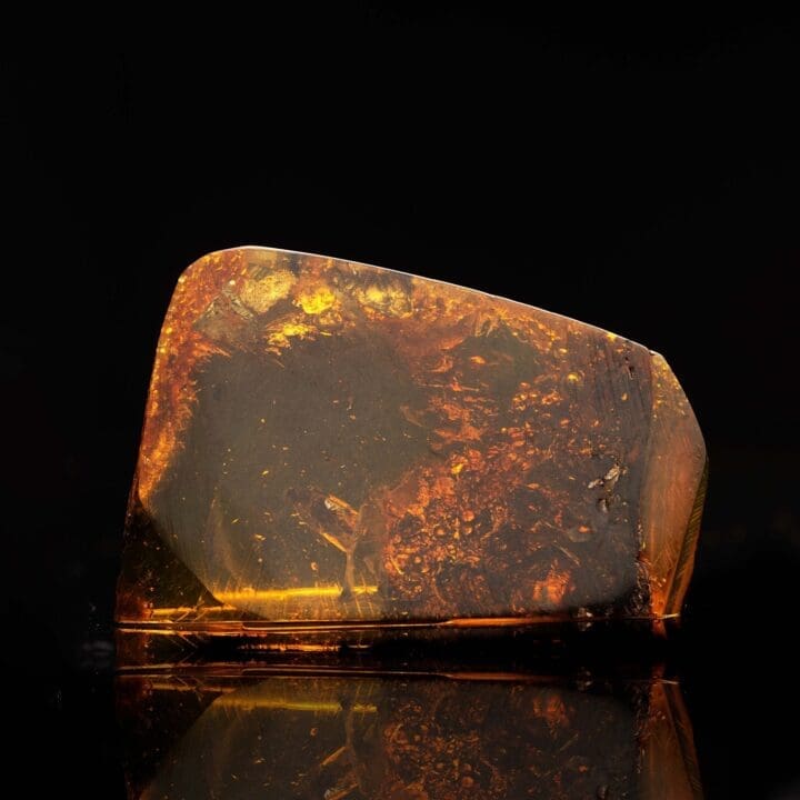 Amber with Fly and Termite // 7.02 Grams